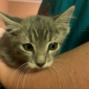 Meet your Posher, Wednesday